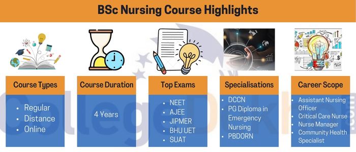 BSc nursing course highlights
