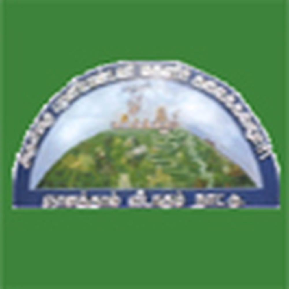 college logo