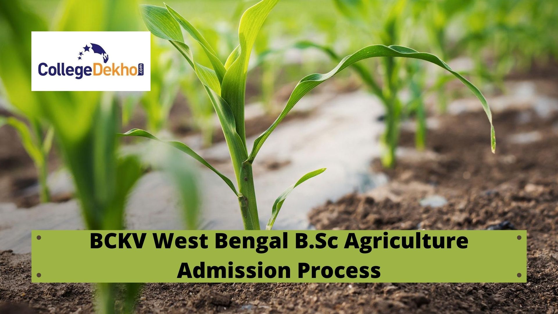 BCKV West Bengal B.Sc Agriculture Admission 2022 - Dates, Application Form (Out), Eligibility Criteria, Merit List, Counselling Process, Seat Matrix