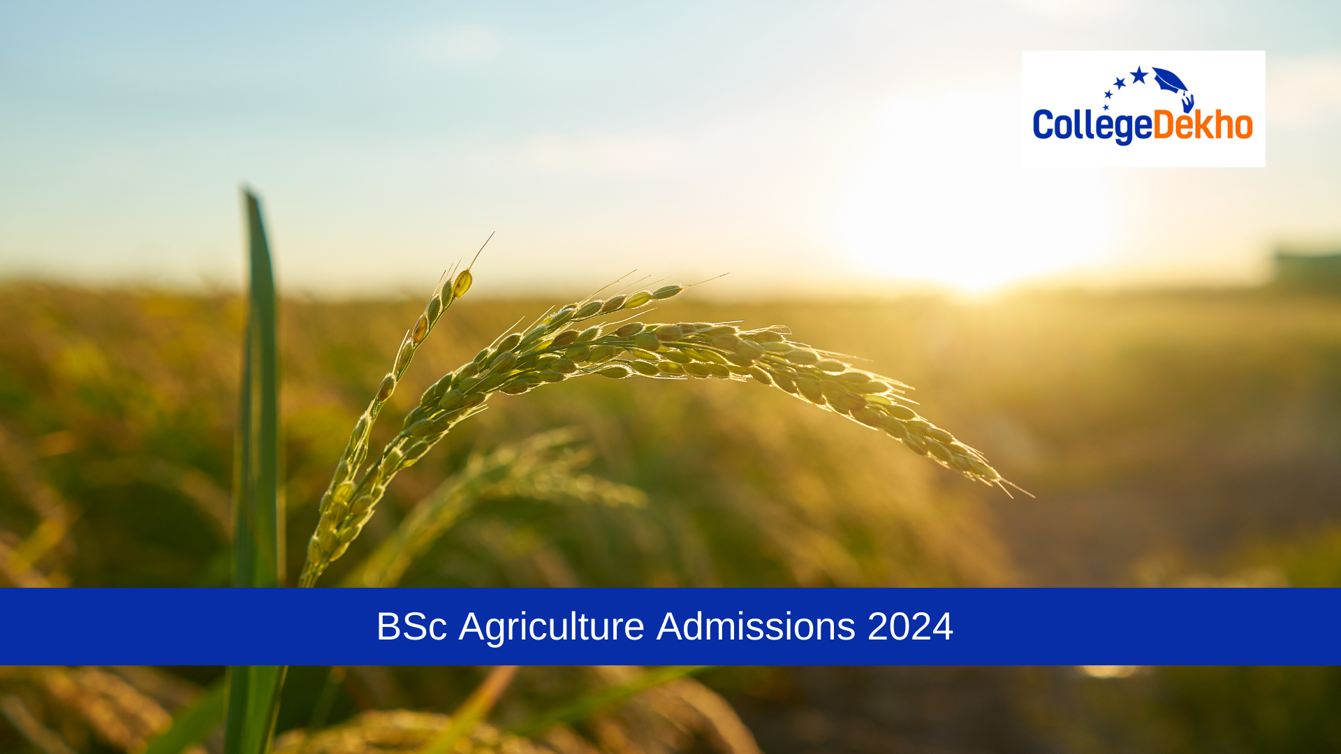 BSc అగ్రికల్చర్ అడ్మిషన్లు 2025 (BSc Agriculture Admissions 2025): ప్రవేశ పరీక్షలు, అర్హత, ఎలా దరఖాస్తు చేయాలి & అగ్ర కళాశాలలు