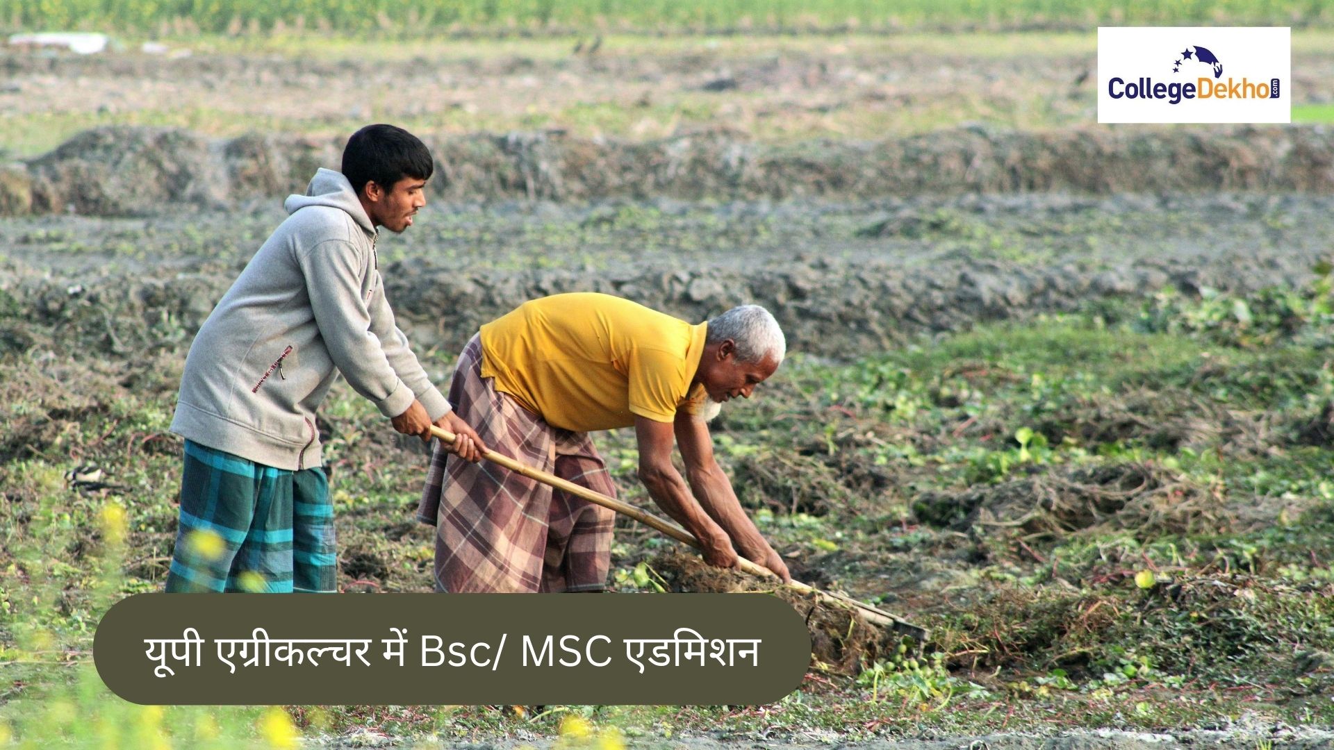 उत्तर प्रदेश में बीएससी-एमएससी एग्रीकल्चर कोर्स में एडमिशन 2026 (BSc / MSc Course Admission 2026 in Agriculture) - डेट, एलिजिबिलिटी क्राइटेरिया