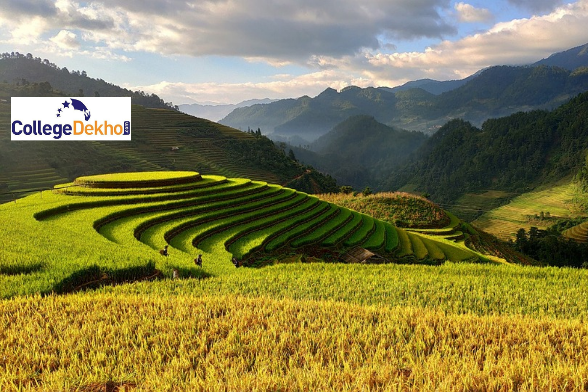 CG PAT 2022 official notification released: Check important dates and exam pattern