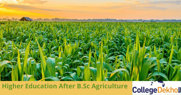 List of M.Sc Courses after BSc Agriculture - Top Colleges, Course Details