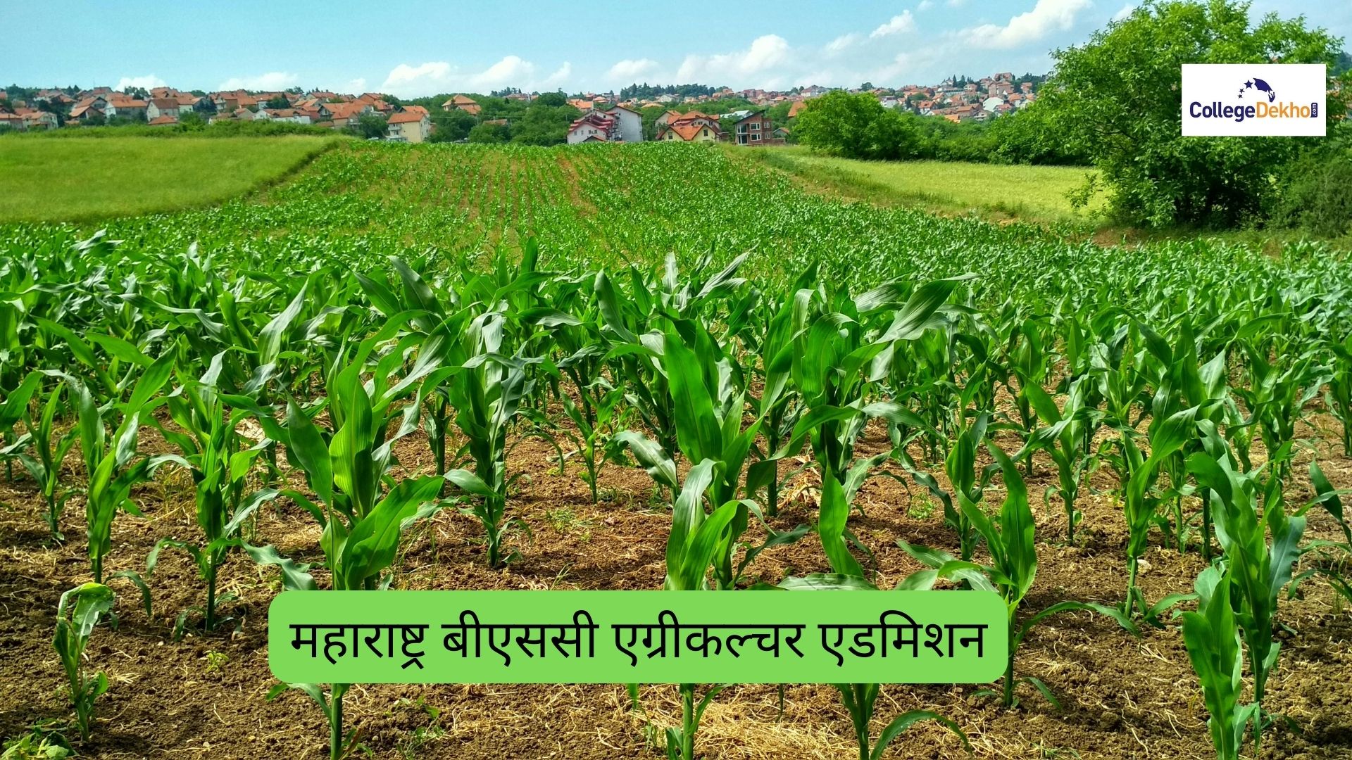 महाराष्ट्र बीएससी एग्रीकल्चर एडमिशन 2026 (Maharashtra BSc Agriculture Admission 2026): डेट, एप्लीकेशन फॉर्म, फीस, कटऑफ लिस्ट, कॉलेज और लेटेस्ट अपडेट