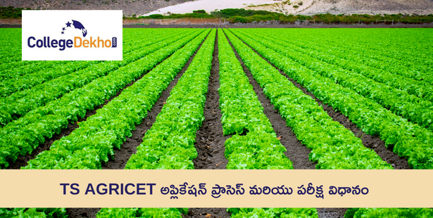 TS AGRICET 2024 అప్లికేషన్ ప్రాసెస్ ( TS AGRICET 2024 Application Process) మరియు పరీక్ష విధానం