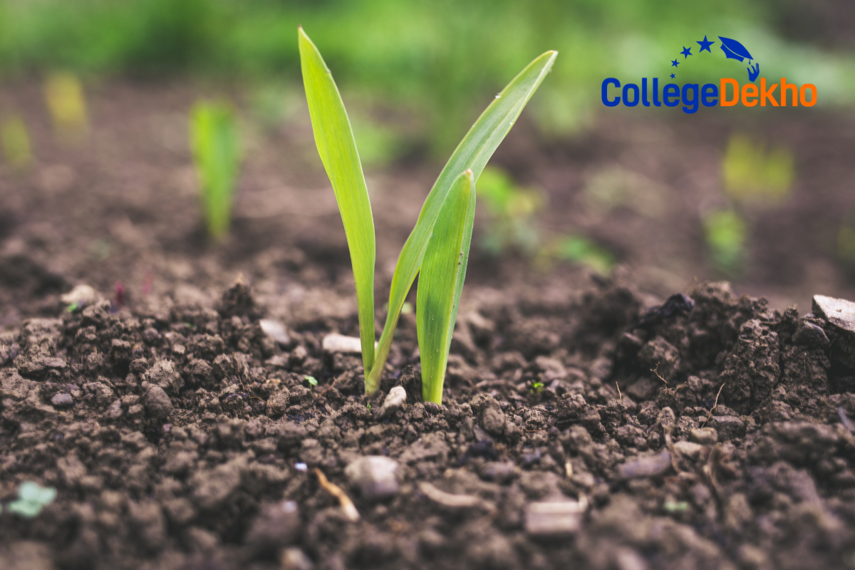 What is the salary range for fresh B.Sc Agriculture graduates in India?