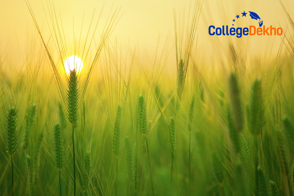 Difference Between State vs Central Agricultural Universities in India