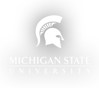 Lingaya's logo michigan state university