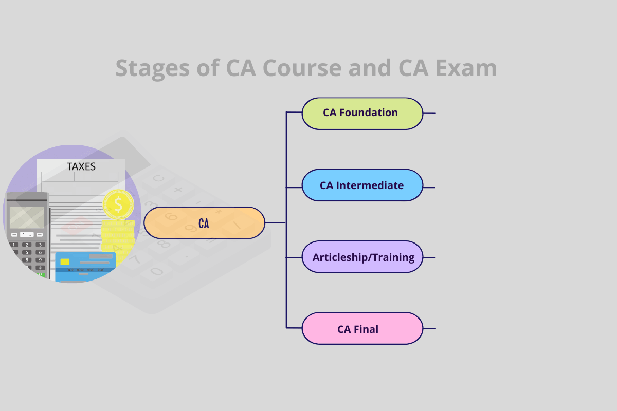 Chartered Accountant CA Course CA Exam