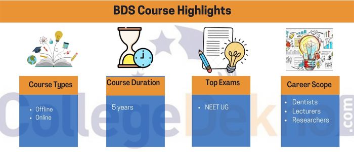 BDS Courses Highlights